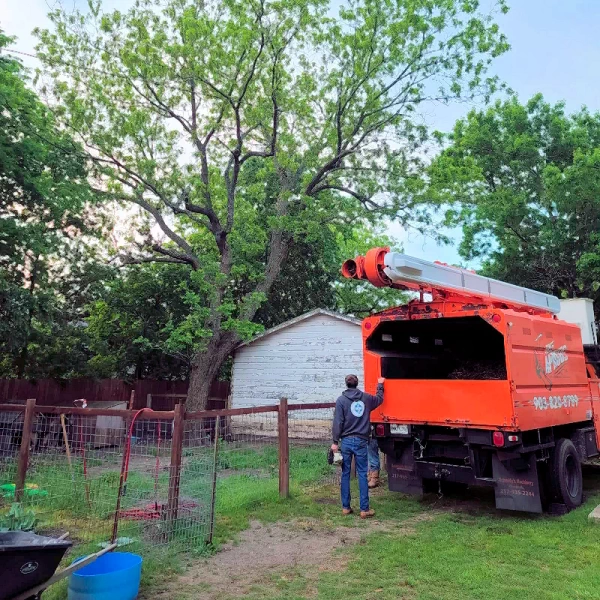 Tree Amigos truck arriving on a job site.