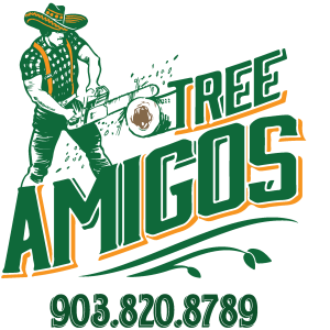 Logo of a man holding a chainsaw cutting a large brance and the words Tree Amigos and 9 0 3 8 2 0 8 7 8 9